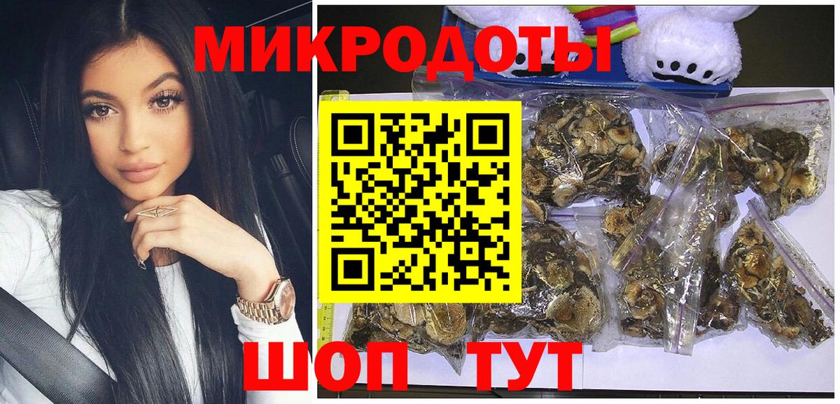 Псилоцибиновые грибы мицелий Кызыл