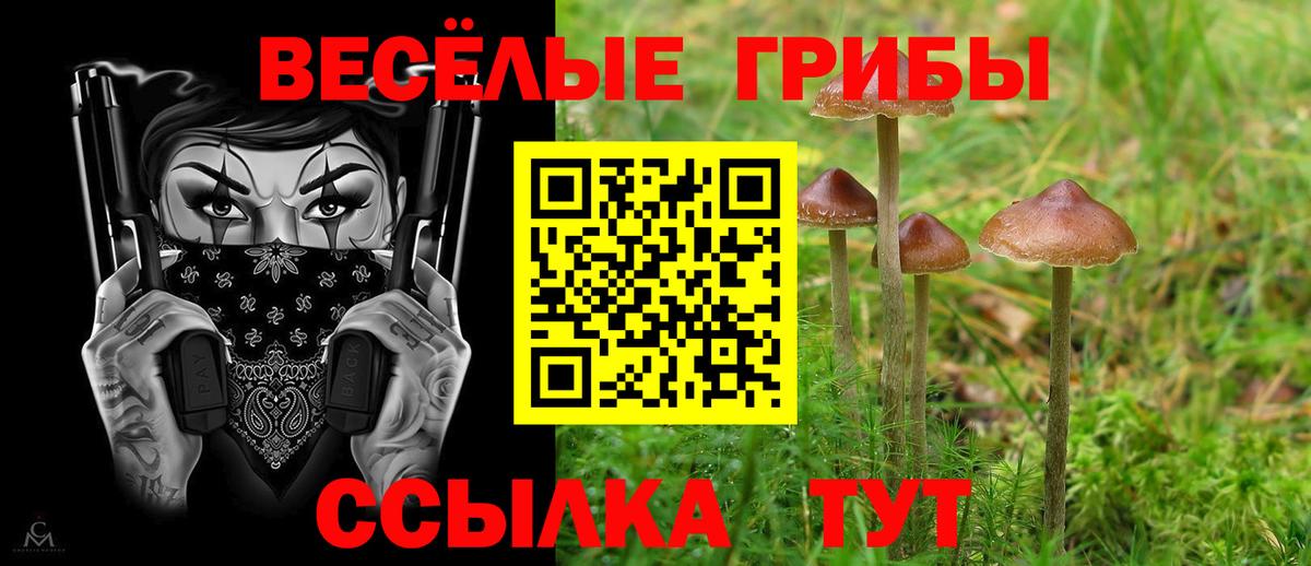 Кызыл  Псилоцибиновые грибы MAGIC MUSHROOMS  Псилоцибиновые грибы Cubensis  Вход с VPN 